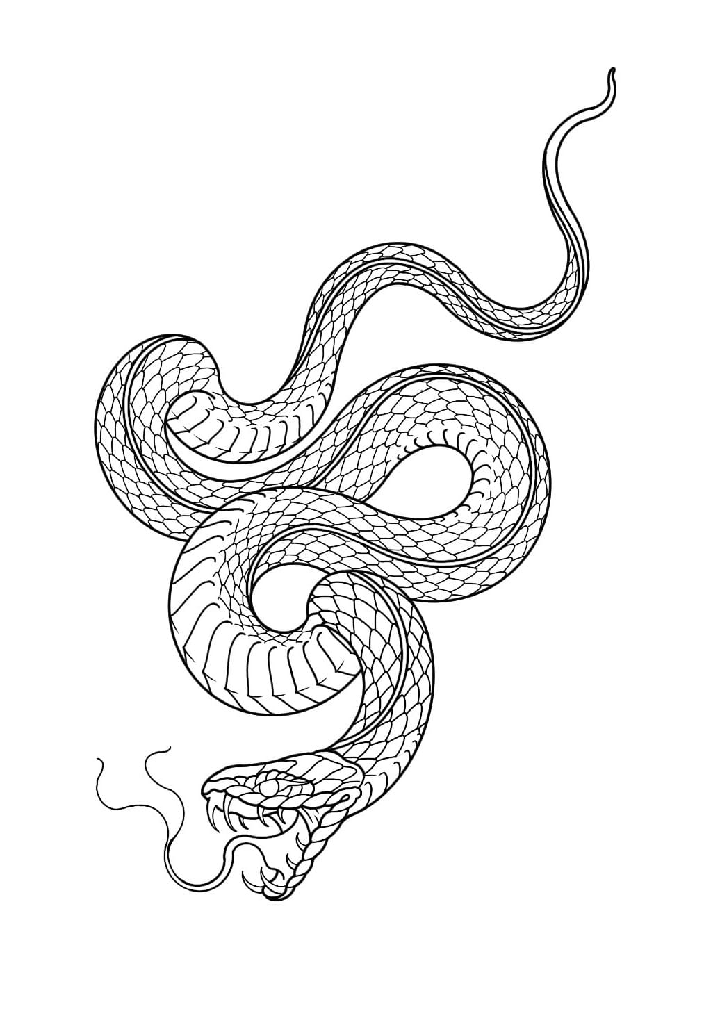 Snake Tattoo Flash Design