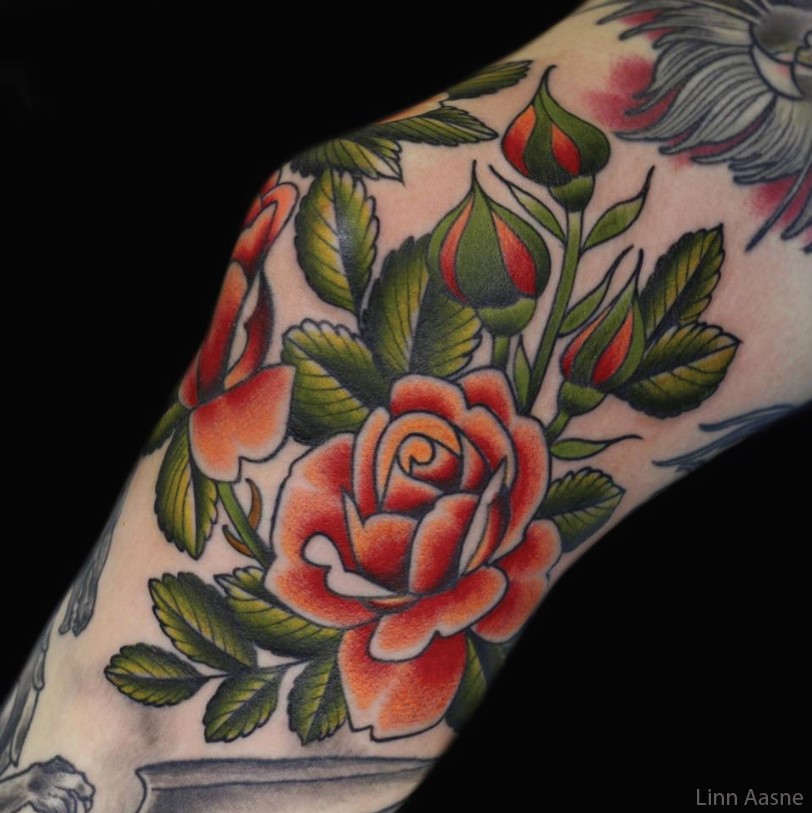 rose tattoo designs 1 rose tattoo designs