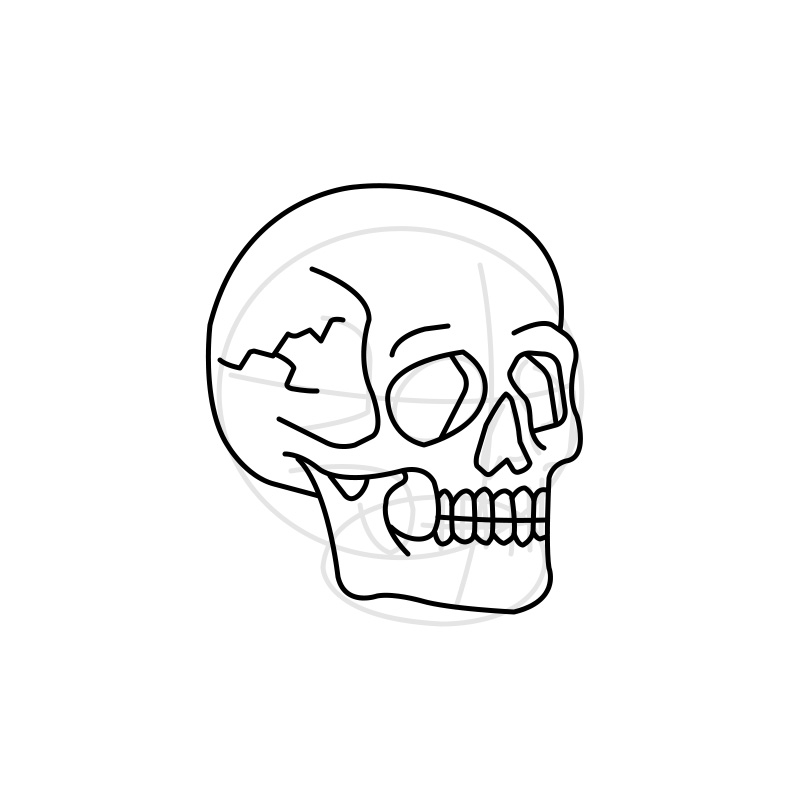 skull - 01 - Step 05 skull drawing