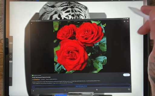 Combine Multiple Photos 1