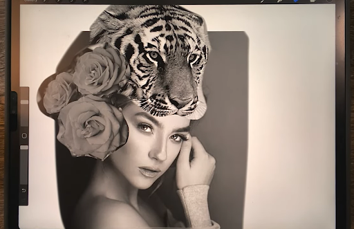 procreate realism image