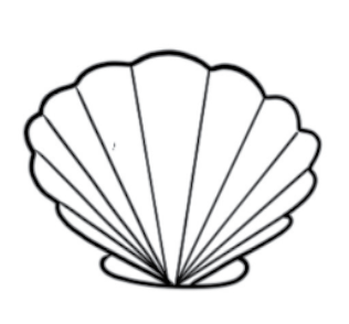 Seashell Tattoo tiny tattoo of a seashell